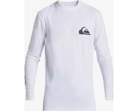 Resim Quıksılver Everyday Surf Tee Ls Youth Erkek Çocuk T-Shirt AQBWR03068-QK.10 