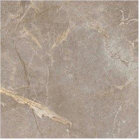 Resim Sırlı Granit Salvia TA GS-D8841 60x60 cm 1 Kutu=1,8m2 