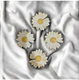 Resim Bernami Vazo Pinterest 4 Lü Papatya Magnet , Buzdolabı Magneti Diğer 