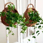 Resim 2 adet Dokuma Asılı Sepet Dekoratif Duvar Asılı Çiçek Sepeti El Yapımı Bitki Standı Tutacak ile Düğün Partisi Yayılı Çiçek Sepeti Ev Banyo Mutfak Yatak Odası Oturma Odası ve Bahçe Bitki Gösterimi ve Depolama Moda Bitki Sepeti 