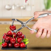 Resim Paslanmaz Çelik Kiraz Çekirdek Çıkarıcı, Elde Tutulan Zeytin ve Kiraz Çekirdek Ayıklama Aracı, Meyve Çekirdeği Çıkarma İçin Mutfak Aletleri, Rahat Kavramalı Saplı Dayanıklı Metal Meyve Çekirdeği Çıkarıcı 