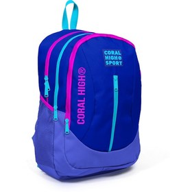 Resim Coral High Sport Lavanta Usb Şarjlı Kulaklık Çıkışlı Dört Bölmeli Sırt Çantası 