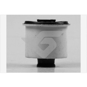 Resim Hutchınson 590171 - Torsiyon Burcu C2-c3 I-ıı 