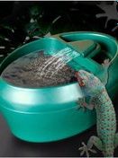 Resim Rayzer Sürüngenler İçin Suluk Ve Yemlik 258134828 