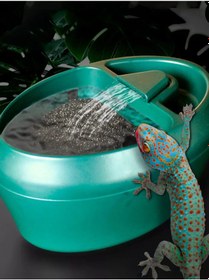 Resim Rayzer Sürüngenler İçin Suluk Ve Yemlik 258134828 