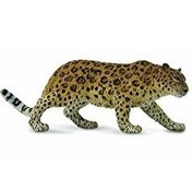 Resim Collecta Amur Parsı 