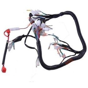 Resim Kuba Çita - Asya Manyetik Ateşleme Elektrik Tesisatı 