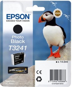 Resim Epson T3241 C13T32414010 Foto Siyah Kartuş 