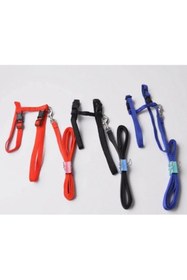 Resim Z&R Kedi Tasması 