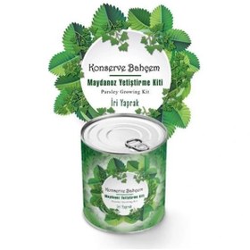 Resim Leyloş Buffer® Konserve Bahçem Evde Konservede İri Maydanoz Yetiştirme Kiti 