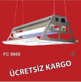 Resim Yapışkan Bantlı Sinek Tutucu-Öldürücü Fc 0950 