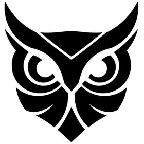 Resim Baykuş - Araç, Oto, Laptop, Duvar Uyumlu Sticker 50 50 Cm 