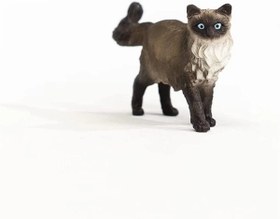 Resim Schleich Ragdoll Kedi 13940 