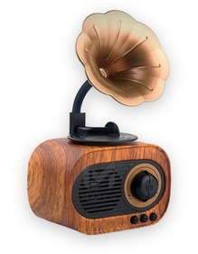 Resim Polygold B5 Nostaljik Mini Radyo Gramofon Bluetooth/radyo/usb/sd Speaker B5t 