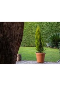Resim Omnipazar So-vhs4 Dekoratif Vaha Saksı İç Ve Dış Mekan 7.7 Lt Kiremit 6 Adet 