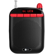 Resim Lecoo Mcs30 Bluetooth/usb/aux/sd Kart Girişli Çift Mikrofonlu Ses Kaydetme Özellikli Taşınabilir Hoparlör 