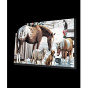 Resim Marsilyan- Hayvanlar 