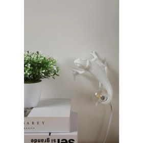 Resim Dekoratif Duvar Lambası Bukalemun Aplik Duvar Aydınlatma Modern Aydınlatma Ev Duvar Dekoru 