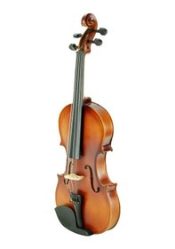 Resim Keman Stanislava Öğrenci Stv12Br 