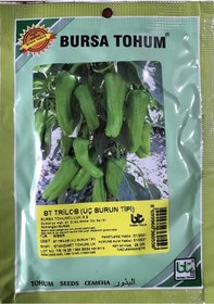 Resim Biber Tohumu Trilob Üç Burun 25 GR Ort3000 Adet Tohum 