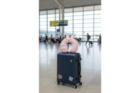 Resim Miniso Sevimli Hayvan Serisi Uyku Gözlüklü Hafızalı Boyun Yastığı 