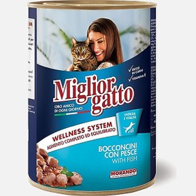 Resim Morando Balık Parçacıklı Konserve Kedi Maması 405gr 