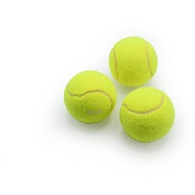 Resim Walke Başlangıç Seviye Antrenman İçin Tenis Topu - 3 Adet 