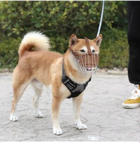 Resim Pasha Pet Metal Deri Köpek Ağızlığı S - 30 Cm 