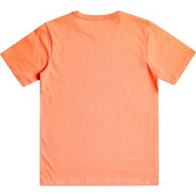Resim Quiksilver Qs Surf Club Erkek Çocuk Tişört Mercan 