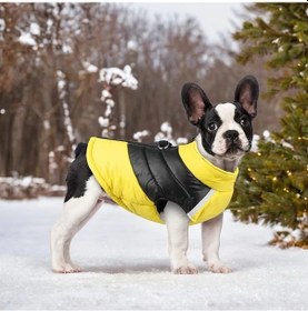 Resim Fochsia Sarı 4xl Köpek Kayak Montu Kışlık Yumuşak Konforlu Dayanıklı Tasma Bağlantılı 