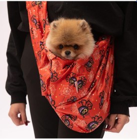 Resim Spider Halloween Crossbody Çanta Kedi Köpek Taşıma Çantası 