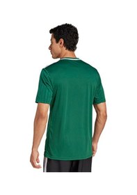 Resim Adidas Campeon25 Jsy M Erkek Futbol Antrenman Forması Jf6063 Yeşil Yeşil 