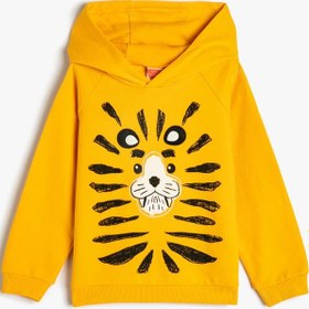Resim Erkek Bebek Kapşonlu Sweatshirt Uzun Kollu Aslan Baskılı Pamuklu 