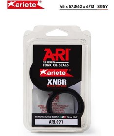 Resim Arı.091 2002-2009 Honda ST 1300 Pan European Uyumlu Ön Amortisör Toz Keçesi 
