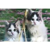 Resim 5d Elmas Boyama Kedi Tablosu 