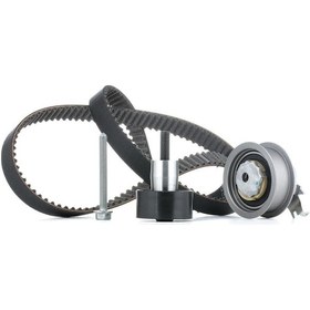 Resim Ina 530017310-triger Seti 2.4d Aja 2.5 Tdı Acv Transporter T4 074198119h 