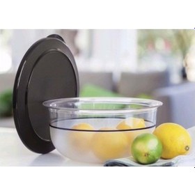 Resim Tupperware Kristalin Servis Kabı 35 L Mürdüm Rengi Kapak Yeşil 