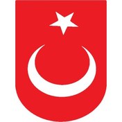 Resim Türk Bayrağı 3 Duvar Dekor Sticker Kırmızı 40 X 80 Cm 