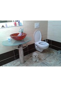 Resim Creavit Tp320 Asma Klozet Kapaksız Çevre Yıkamalı 