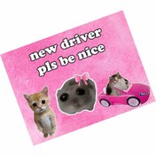 Resim hediyenebak New Driver Pls Be Nice Özel Tasarımlı Araba Araç Magneti 15x20 cm 