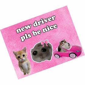 Resim hediyenebak New Driver Pls Be Nice Özel Tasarımlı Araba Araç Magneti 15x20 cm 