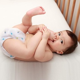 Resim Sevi Bebe Pamuk Pedli Bebek Alıştırma Külodu 4lü 10-15 kg 