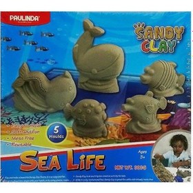 Resim Logon Kinetik Kum Seti Deniz Hayvanları 300 Garm + 5 Kalıp 