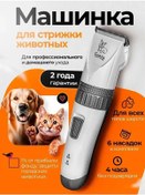 Resim Bulka Köpek Ve Kedi Tıraş Makinesi 93536093 