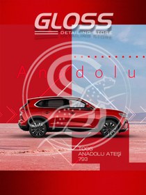 Resim Gloss Detailing TOGG T10X Anadolu Ateşi Sedefli Kırmızı 793 - Çizik Giderici Rötuş Boyası 2 Şişe 30/30ml. 