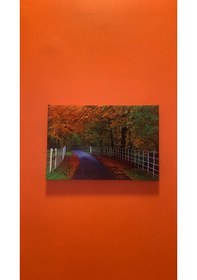 Resim Sonbahar Manzaralı Natürel Tasarım Ahşap Çerçeve Ev İşyeri Ofis D 