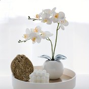 Resim 1 adet Yapay Phaleanopsis Çiçekleri Sahte Orkide Yaprakları Dalı Ev Bonsai Bahçe Dekoru için 