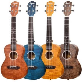 Resim Kaysen U3-24bl Concert Ukulele 