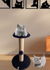 Resim Nursoft Stepli Kedi Tırmalama Tahtası Siyah 