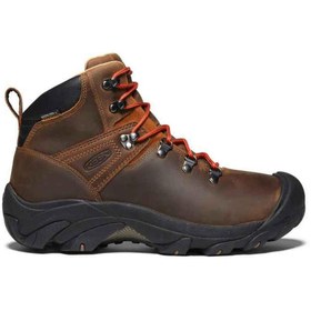 Resim Keen Pyrenees Erkek Bot 